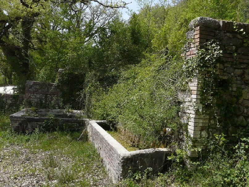 Fontanili della Toscana